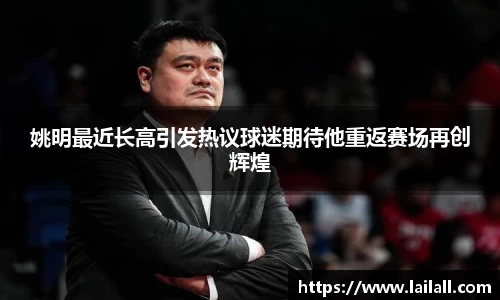 美嘉体育官网