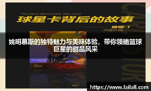 美嘉体育