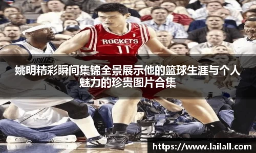 姚明精彩瞬间集锦全景展示他的篮球生涯与个人魅力的珍贵图片合集
